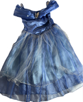 Blue Princess Butterfly Dress