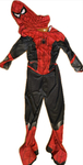 Spiderman Costume