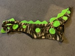 Dinosaur costume 