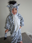 Zebra Dressup Suit