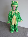 Frog Dressup Suit