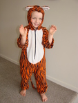 Tiger Dressup suit