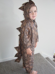 Dressup Lizzard Suit