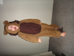 LION DRESSUP