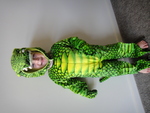 Crocodile (Small)