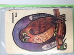 Ruru Morepork puzzle