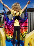 BUTTERFLY WING CAPE