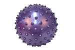 B008: Nobby Ball