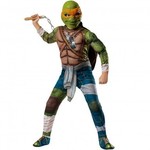 Boys Michelangelo Ninja Turtle Costume