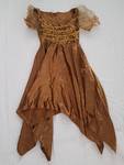 Bronze Fairy Dress