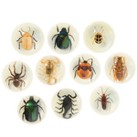 Mini Beasts - Glow in the dark Magnets