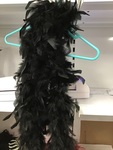 Black Feather Boa