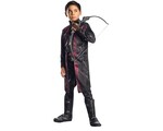 Hawkeye Costume
