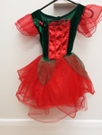 Sugar Plum Fairy Costume
