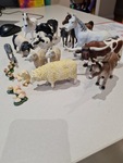 Farm Animals