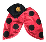 Ladybird Costume