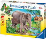 Elephant and Lion Puzzles