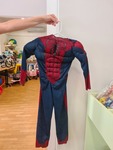 Spiderman Costume