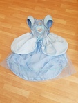 Disney Princess Costume