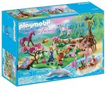 Playmobil Fairies