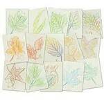 Leaf Rubbing Plates