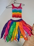 Rainbow Fairy Costume
