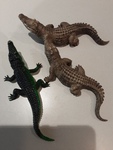 Crocodile Set