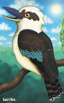 Kookaburra Puzzle