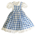 Dorothy dressup (Wizard of Oz)