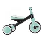 T1204: Globber Learning Trike