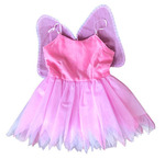 Fairy Costume