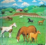 HORSES IN THE PADDOCK PUZZLE