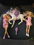 Dress up Barbie with Horse