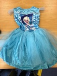 Frozen Dress