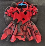 Ladybug Dress - 0-3 Months