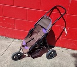 Grey & Purple Stroller
