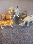 Wild Animal Set