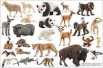 SCHLEICH ANIMALS