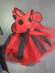Lady Bug Costume