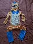 Octonauts Kwazii costume 