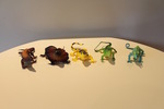 Reptile Collection