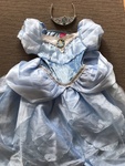 Cindrella Costume