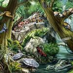 Creepy Crawlies Puzzle