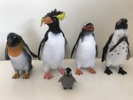 Penguin Collection