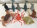 Sea Creatures