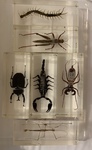 Resin Bug Set 