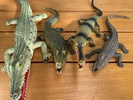 Crocodile Set
