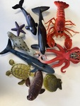 Sea Creatures 