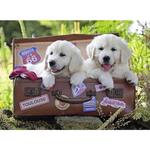 Travelling Puppies Puzzle