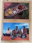 Indigenous Puzzle Pack